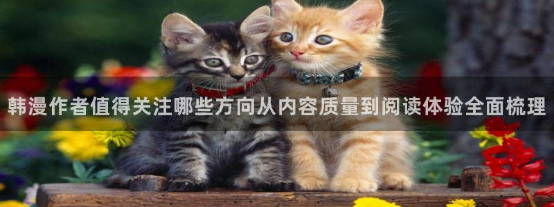 梦漫漫画穿越漫画:韩漫作者值得关注哪些方向从内容质量到阅读体验全面梳理