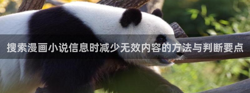 梦漫漫画在线阅读APP:搜索漫画小说信息时减少无效内容的方法与判断要点